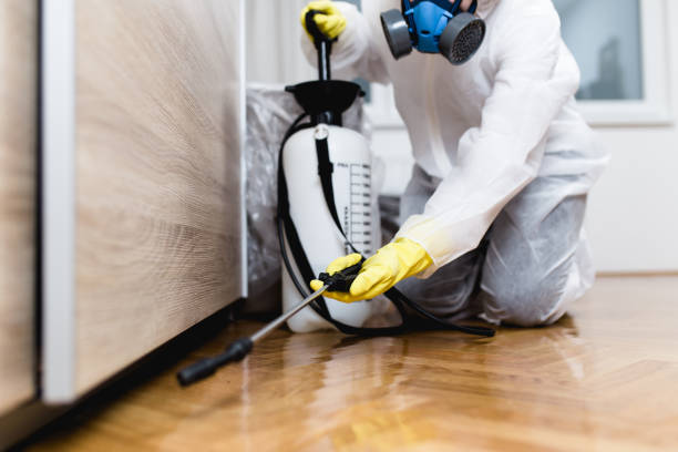 Best Wasp Removal Services  in Leola, PA