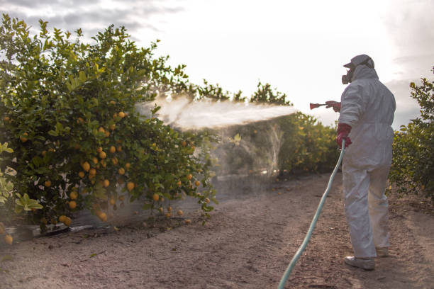 Best Residential Pest Control  in Leola, PA