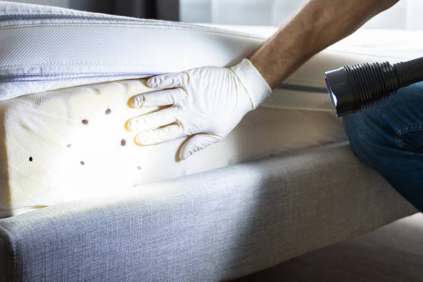 Best Best Pest Control Companies  in Leola, PA
