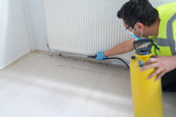 Best Bed Bug Extermination  in Leola, PA